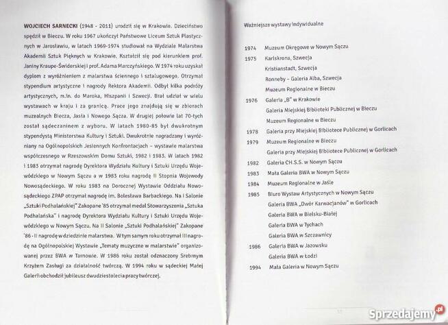 Abstrakcja Muzyczna-Wojciech Sarnecki