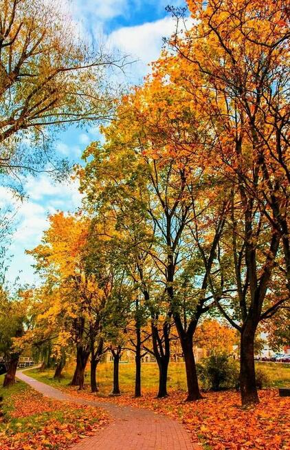 Wesołą Panią na dłużej