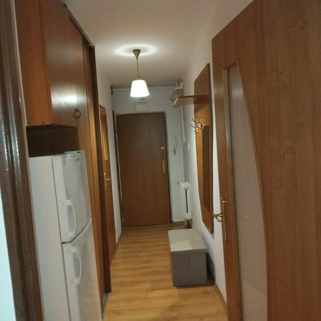 Kawalerka na Gałeczki