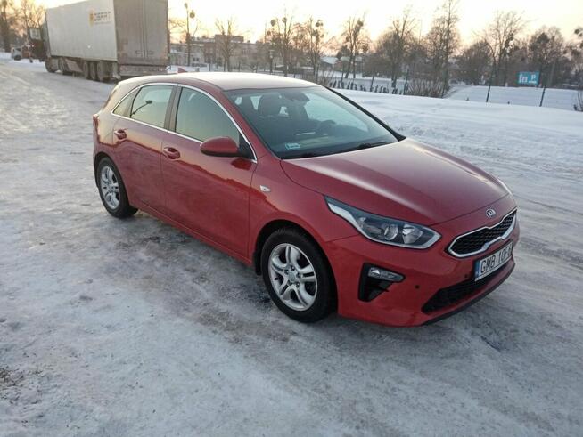 kia ceed 2019 salon Polska