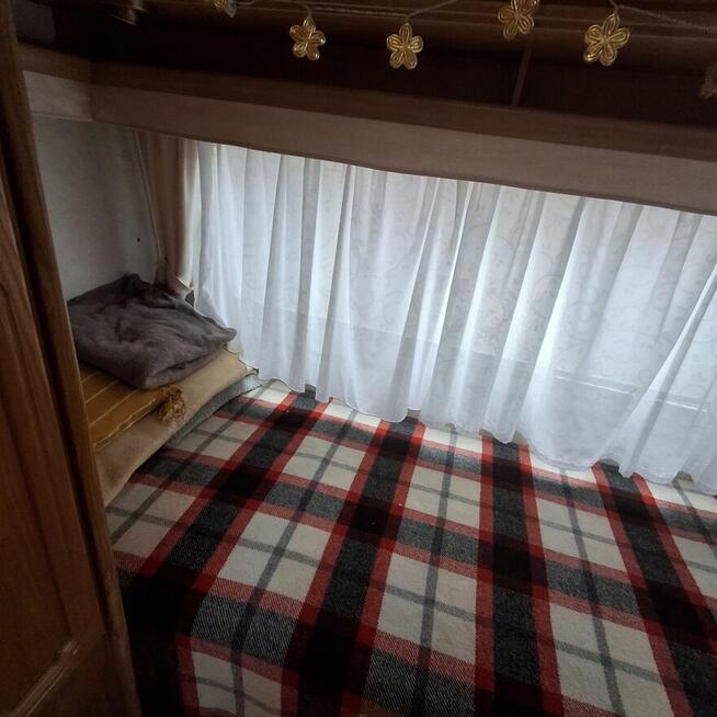 Przyczepa kempingowa Tabbert Comtesse 450