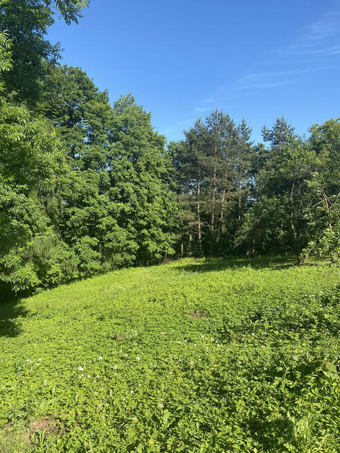 Działka budowlana z prywatnym lasem – 18 arów (okolice Krako