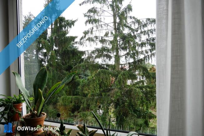 Mieszkanie plus miejsce postojowe