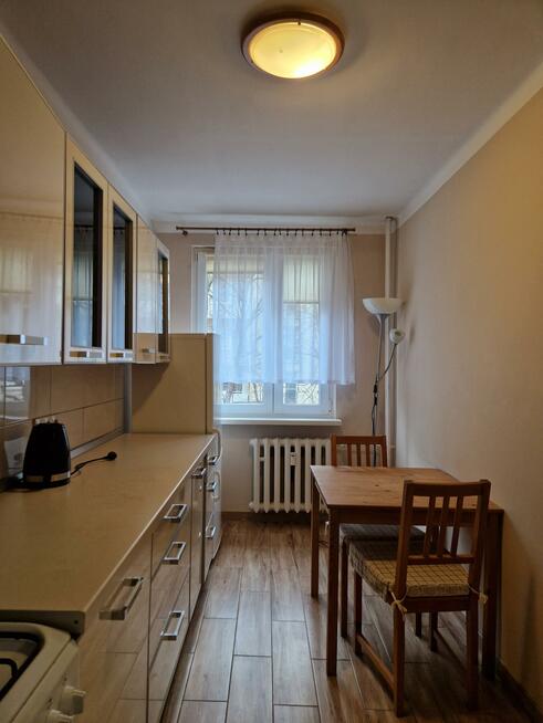 Mieszkanie Opole Zaodrze, Dambonia