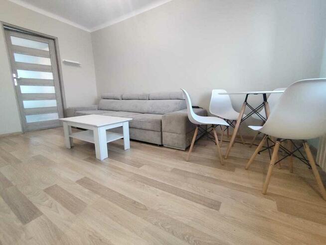 Na wynajem mieszkanie dwupokojowe.