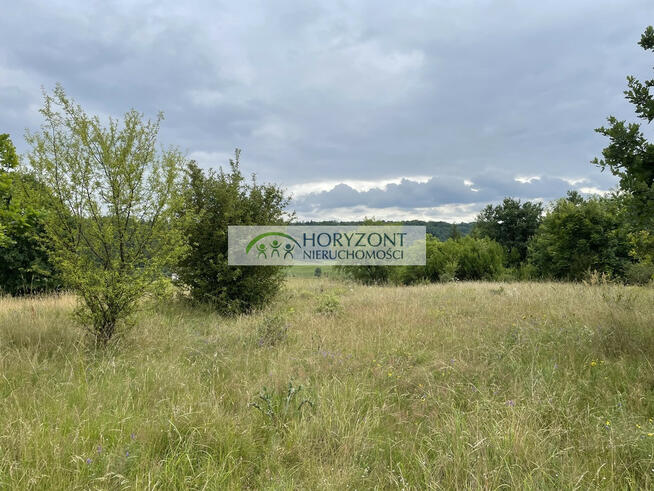 Nowa Wieś Przywidzka- dz. z panoramicznym widokiem