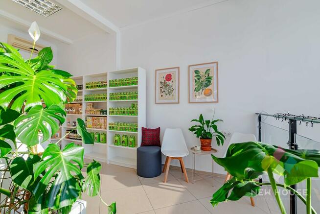 Atrakcyjny lokal przy Lidlu na Jarotach z witryną