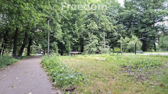 Przestrzenne i klimatyczne - 3 pokoje