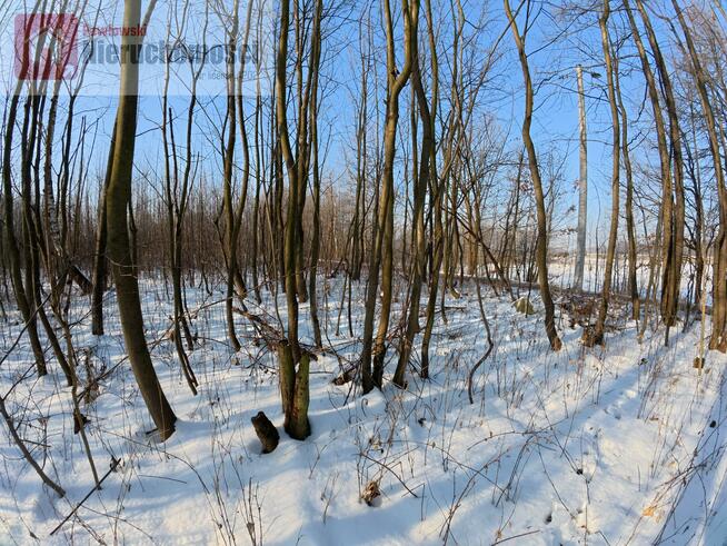 Działka budowlana Jaśkowice gm. Skawina