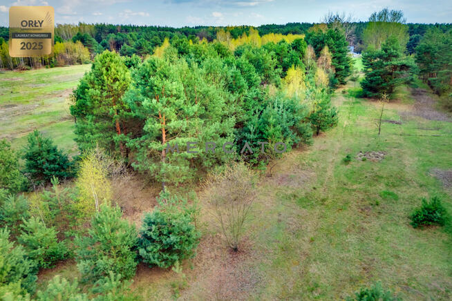 Działka budowlana Regut gm. Celestynów,