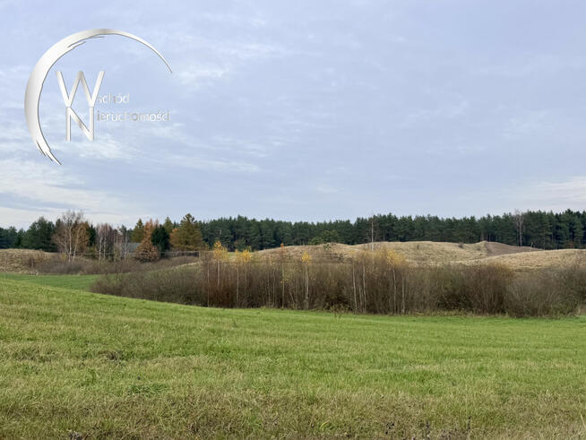 Działka rolna Wodziłki gm. Jeleniewo,
