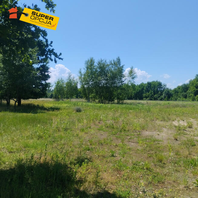 Działka siedliskowa Przeginia Narodowa gm. Czernichów,