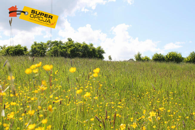 Działka budowlana Sławkowice gm. Biskupice,