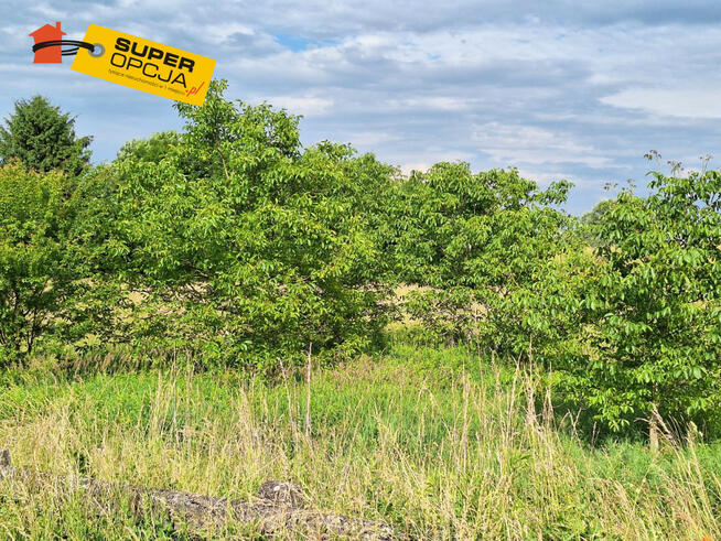 Działka rolna Kraków gm. Kraków-Nowa Huta Nowa Huta, Nadwodna