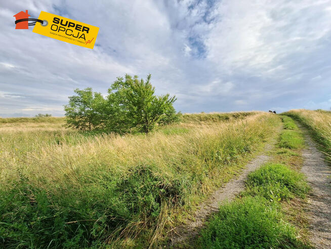 Działka rolna Kraków gm. Kraków-Nowa Huta Nowa Huta, Nadwodna