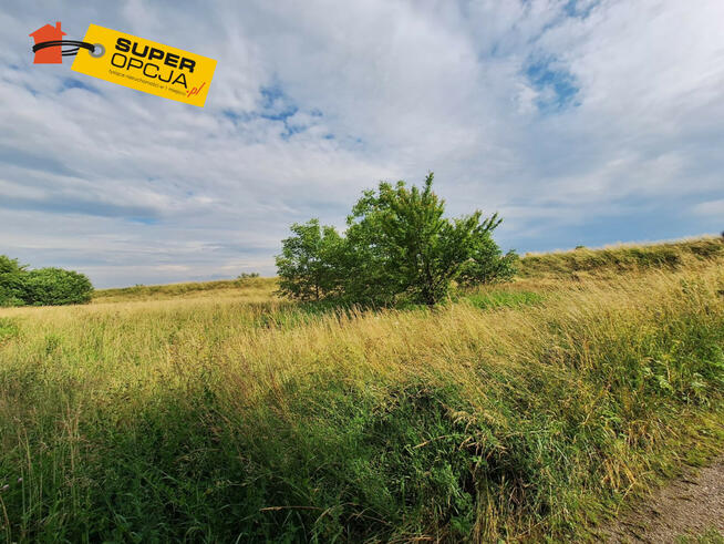 Działka rolna Kraków gm. Kraków-Nowa Huta Nowa Huta, Nadwodna