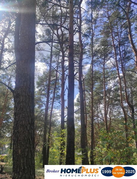 Działka dla miłośników natury i spokoju, Radzymin