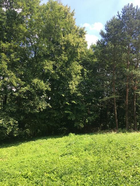 Działka budowlana z prywatnym lasem – 18 arów (okolice Krako