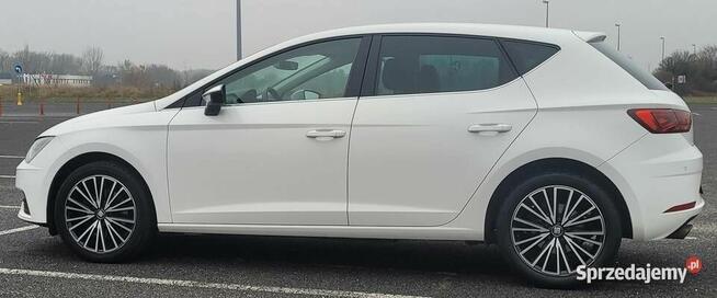 Seat Leon 1.4 TSI 125 KM Xcellence FL|Full LED|Bezwypadkowy