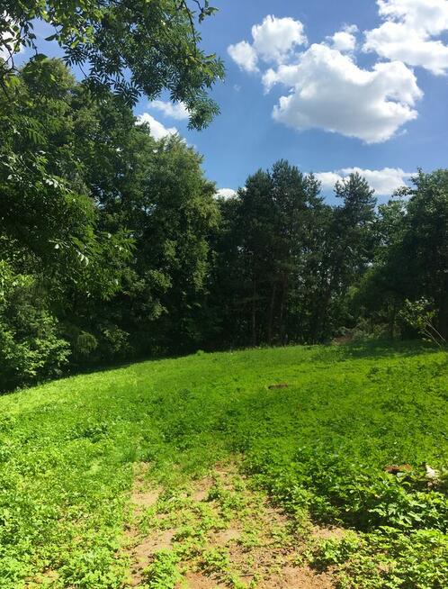 Działka budowlana z prywatnym lasem – 18 arów (okolice Krako