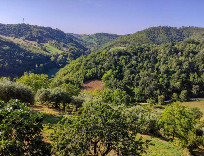 Mieszkanie -Italia