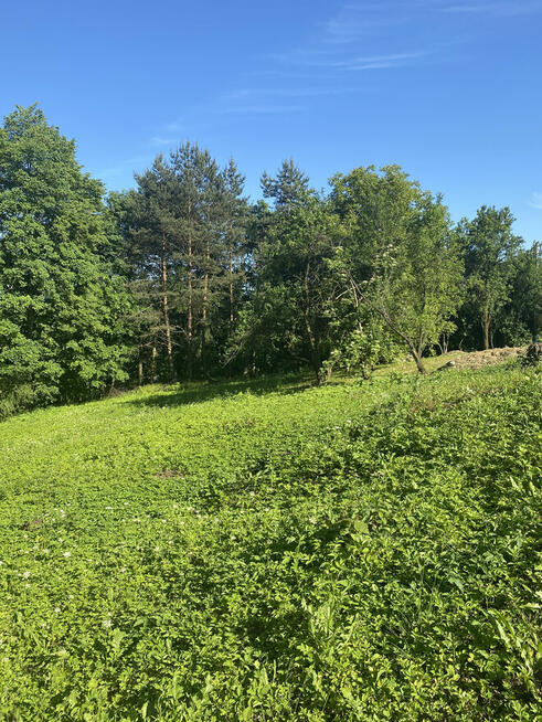 Działka budowlana z prywatnym lasem – 18 arów (okolice Krako
