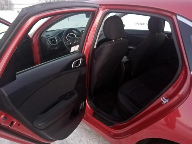 kia ceed 2019 salon Polska