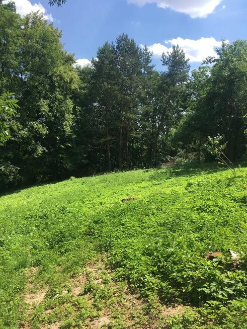 Działka budowlana z prywatnym lasem – 18 arów (okolice Krako