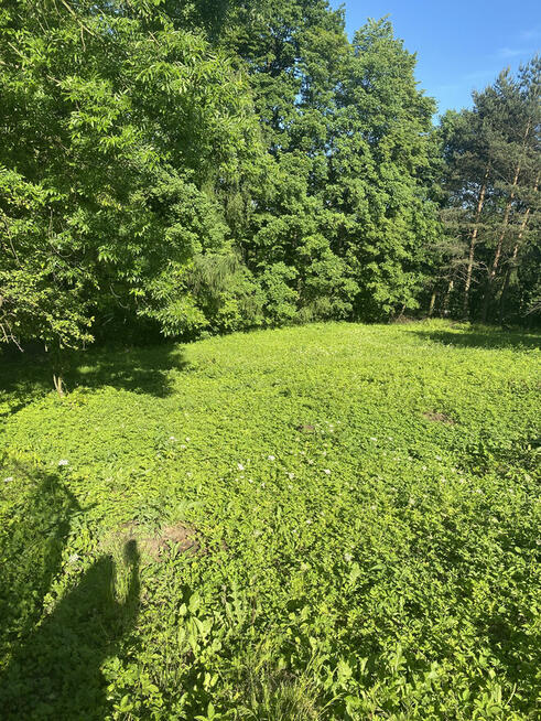 Działka budowlana z prywatnym lasem – 18 arów (okolice Krako