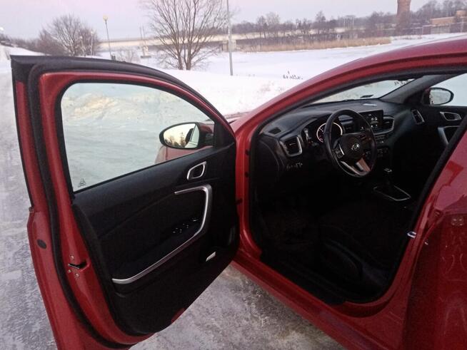 kia ceed 2019 salon Polska