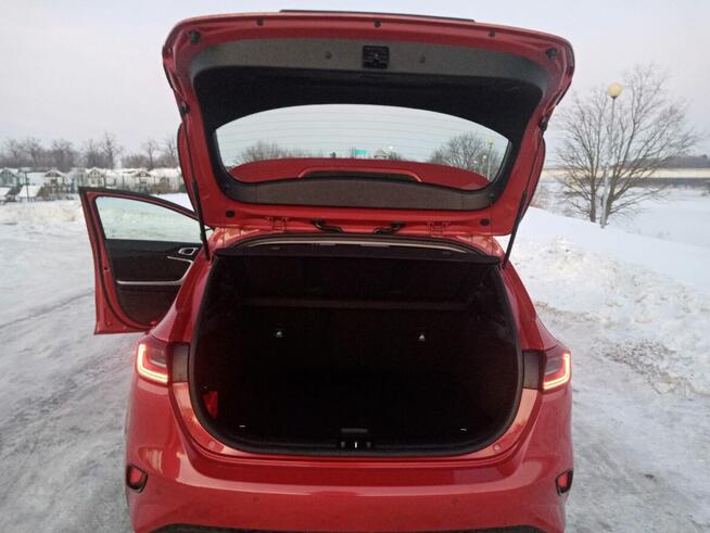 kia ceed 2019 salon Polska