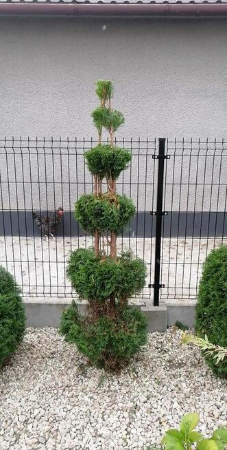 Kompleksowe Usługi Ogrodnicze