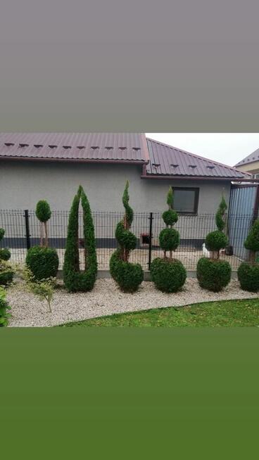 Kompleksowe Usługi Ogrodnicze