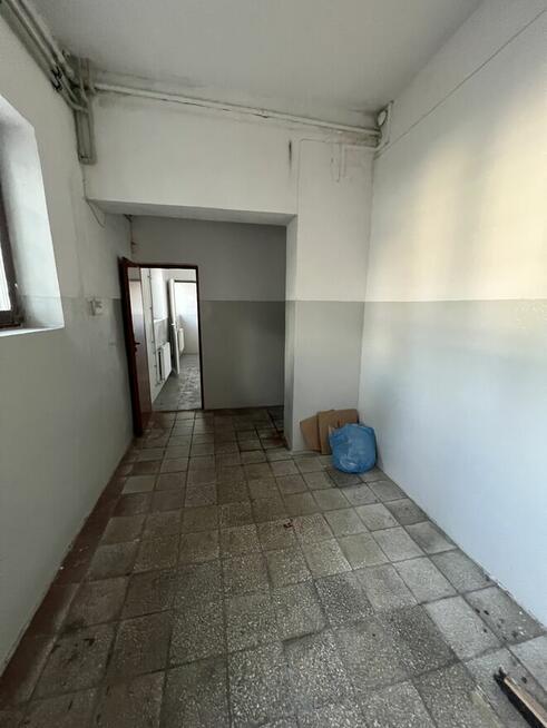 Wynajmę magazyn 250m2parter+250m2 piętro winda Michałowice