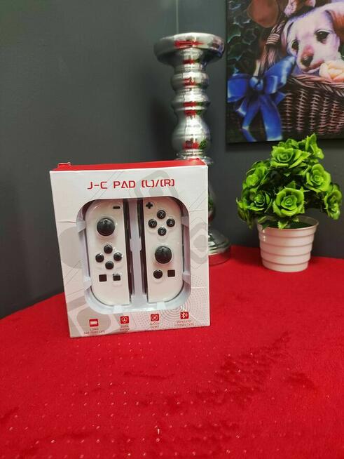 Kontroler Pad do Konsoli do Nintendo Switch Lite OLED