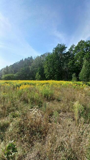 Unikat, budowlana, ostatnia taka, do metra20km, doCPK20km!
