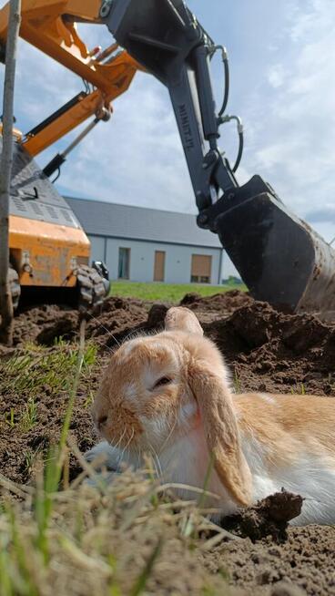 Projektowanie oraz zakładanie systemów nawadniania ogrodu