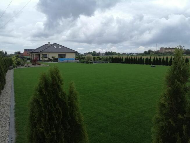 Kompleksowe Usługi Ogrodnicze