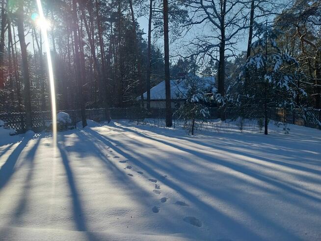 Wolnostojący dom, w otulinie lasu, blisko Warszawy