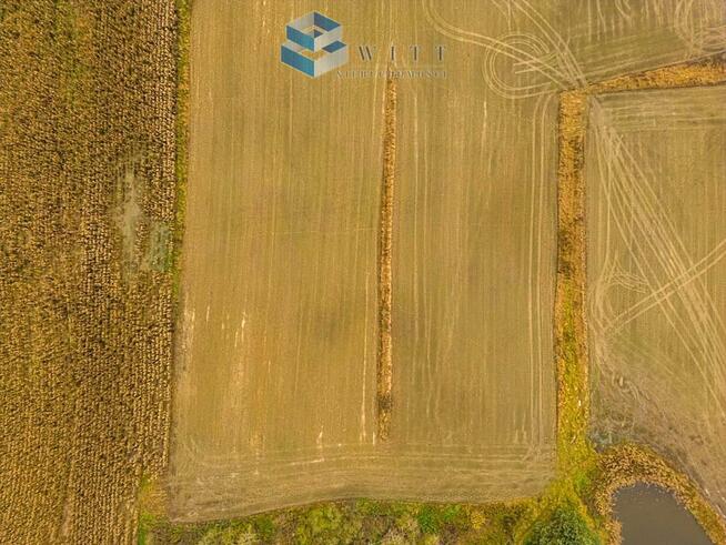 Działka usługowa Nowa Wieś gm. Iława, Koralowa