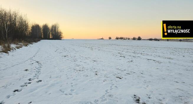Działka rolna Borzymów gm. Oleśnica,