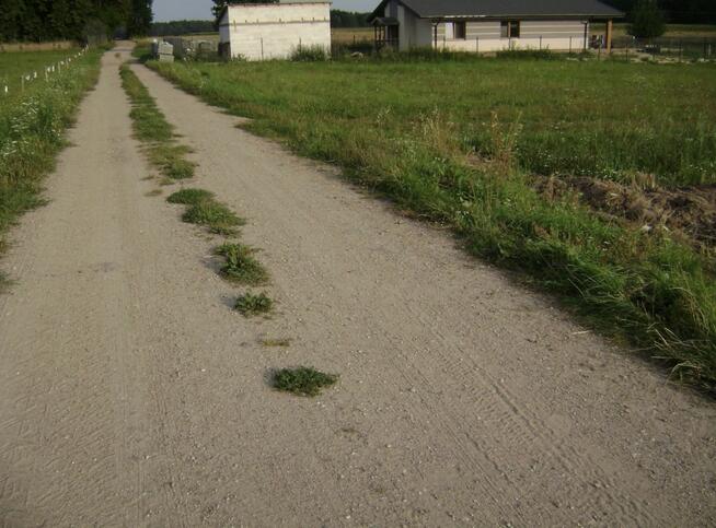 Działka siedliskowa Rafałówka gm. Zabłudów,
