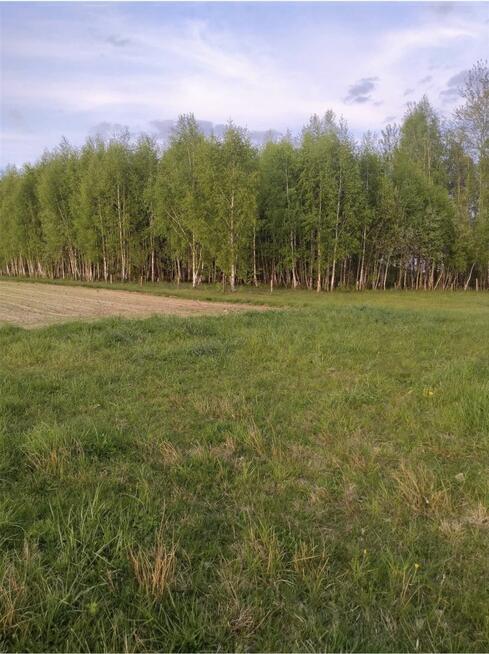 Działka siedliskowa Rafałówka gm. Zabłudów,