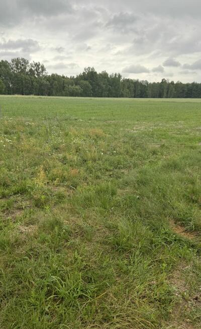 Działka siedliskowa Rafałówka gm. Zabłudów,