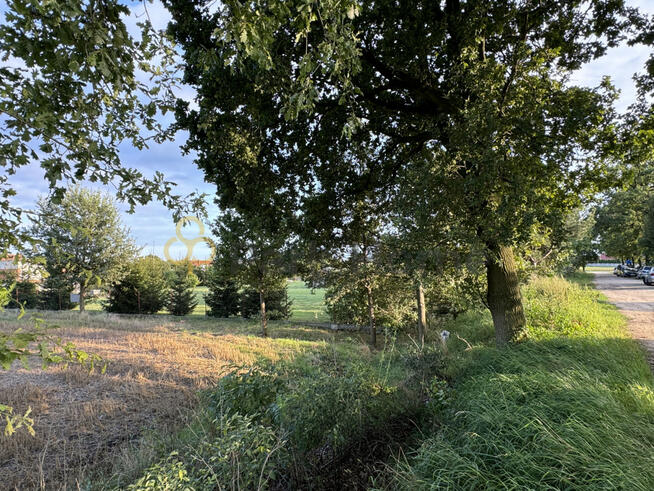 Działka inwestycyjna Dębno Polskie gm. Rawicz,