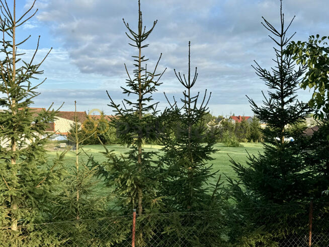 Działka inwestycyjna Dębno Polskie gm. Rawicz,