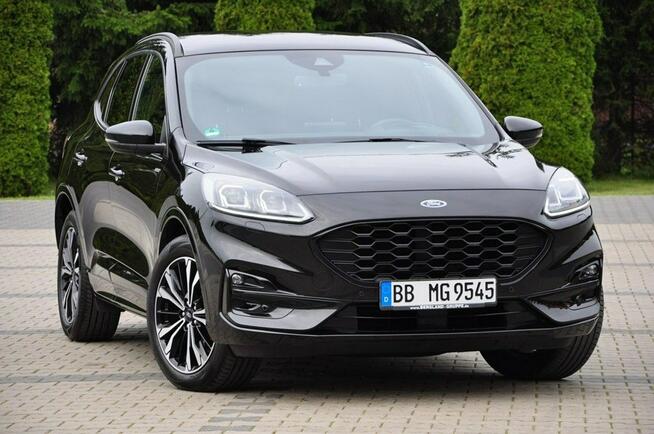 Ford Kuga 2,0D 190KM ST-line 4x4 Full Led B&O Head Up Skóry Virtual Navi