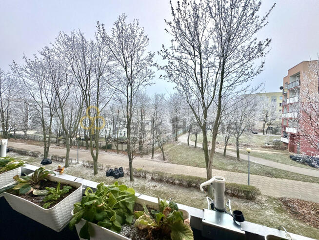 Mieszkanie Głogów,