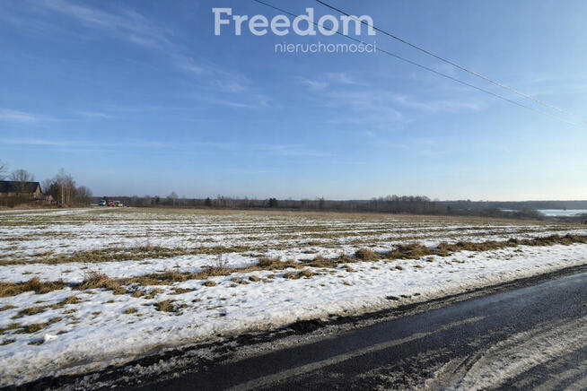 Działki w Grodzisku – cisza, zieleń, świetna lokal