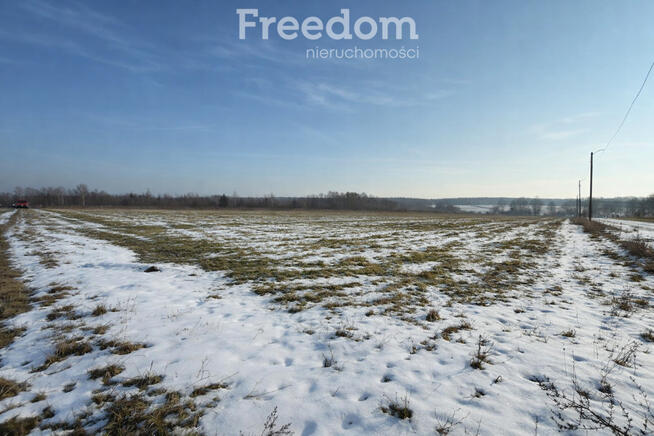 Działki w Grodzisku – cisza, zieleń, świetna lokal
